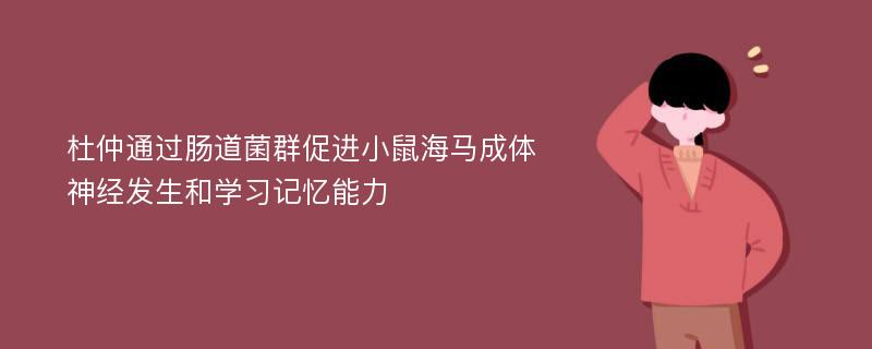 杜仲通过肠道菌群促进小鼠海马成体神经发生和学习记忆能力