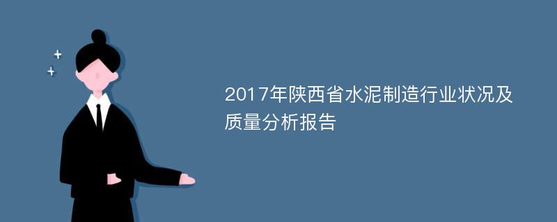 2017年陕西省水泥制造行业状况及质量分析报告