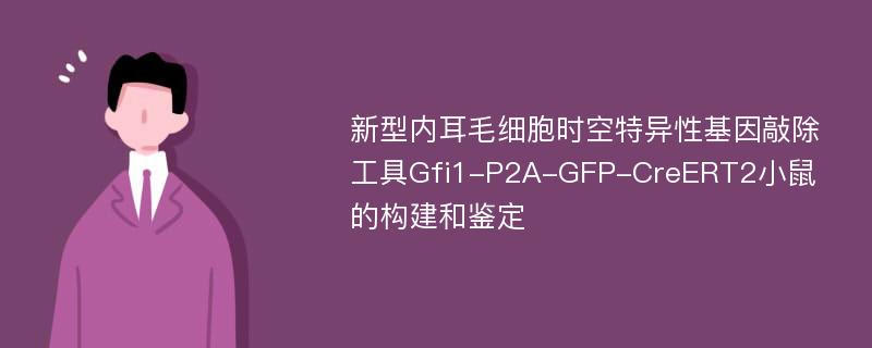 新型内耳毛细胞时空特异性基因敲除工具Gfi1-P2A-GFP-CreERT2小鼠的构建和鉴定