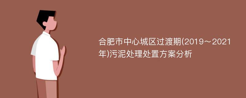 合肥市中心城区过渡期(2019～2021年)污泥处理处置方案分析