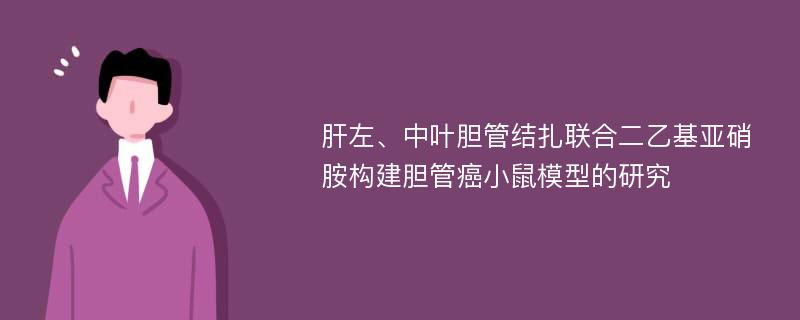 肝左、中叶胆管结扎联合二乙基亚硝胺构建胆管癌小鼠模型的研究