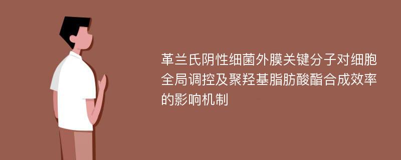 革兰氏阴性细菌外膜关键分子对细胞全局调控及聚羟基脂肪酸酯合成效率的影响机制