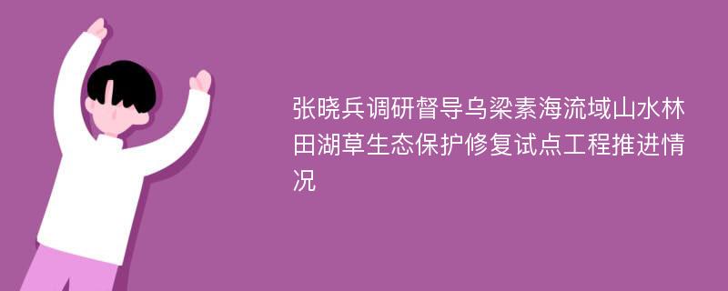 张晓兵调研督导乌梁素海流域山水林田湖草生态保护修复试点工程推进情况