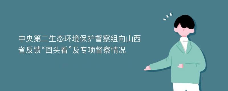 中央第二生态环境保护督察组向山西省反馈“回头看”及专项督察情况