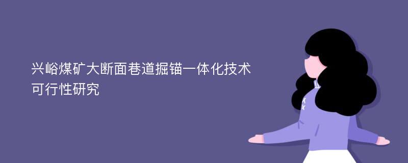 兴峪煤矿大断面巷道掘锚一体化技术可行性研究