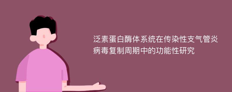 泛素蛋白酶体系统在传染性支气管炎病毒复制周期中的功能性研究