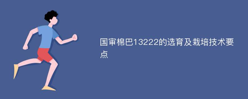 国审棉巴13222的选育及栽培技术要点