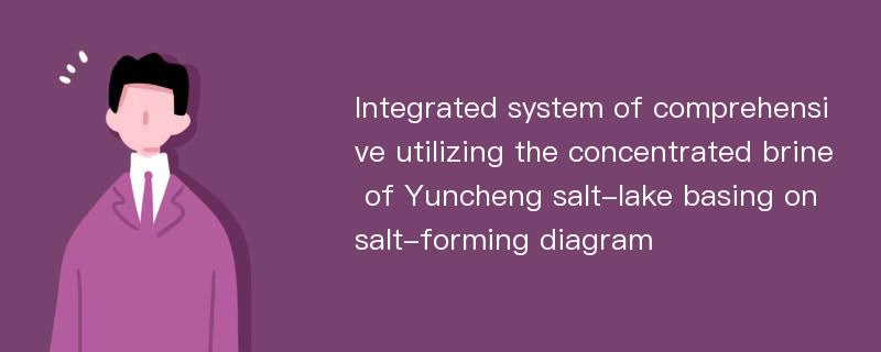 Integrated system of comprehensive utilizing the concentrated brine of Yuncheng salt-lake basing on salt-forming diagram