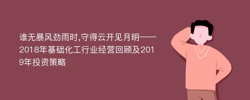 谁无暴风劲雨时,守得云开见月明——2018年基础化工行业经营回顾及2019年投资策略