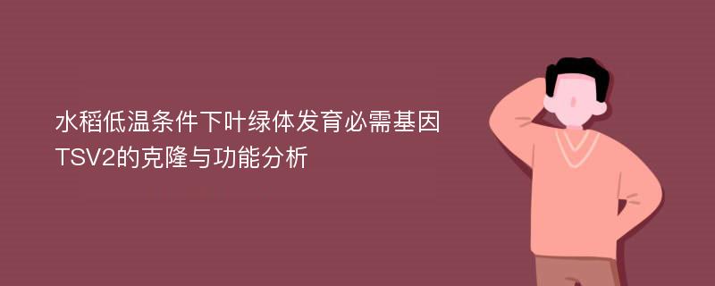 水稻低温条件下叶绿体发育必需基因TSV2的克隆与功能分析