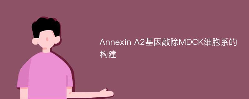 Annexin A2基因敲除MDCK细胞系的构建