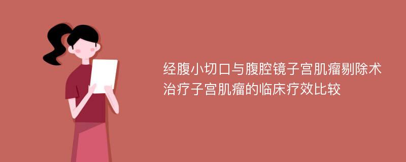 经腹小切口与腹腔镜子宫肌瘤剔除术治疗子宫肌瘤的临床疗效比较