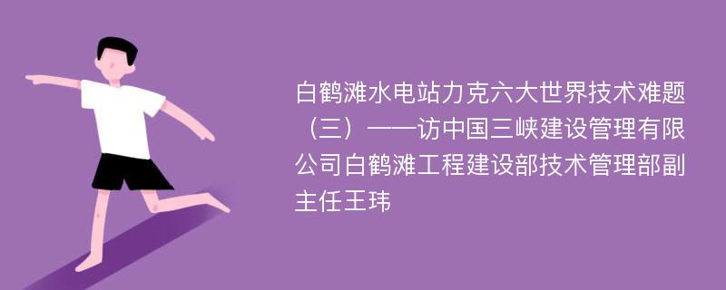 白鹤滩水电站力克六大世界技术难题（三）——访中国三峡建设管理有限公司白鹤滩工程建设部技术管理部副主任王玮