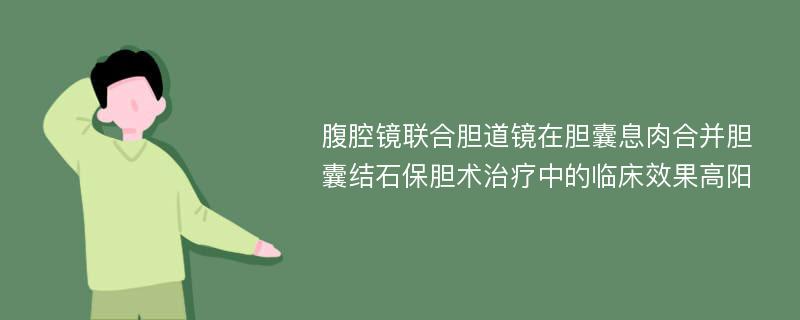 腹腔镜联合胆道镜在胆囊息肉合并胆囊结石保胆术治疗中的临床效果高阳