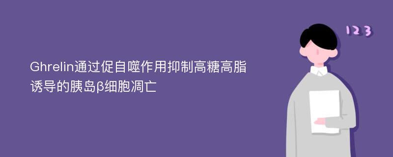 Ghrelin通过促自噬作用抑制高糖高脂诱导的胰岛β细胞凋亡