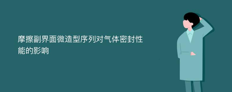 摩擦副界面微造型序列对气体密封性能的影响