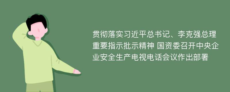 贯彻落实习近平总书记、李克强总理重要指示批示精神 国资委召开中央企业安全生产电视电话会议作出部署