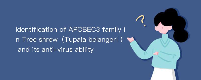 Identification of APOBEC3 family in Tree shrew（Tupaia belangeri ） and its anti-virus ability