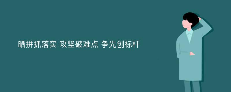 晒拼抓落实 攻坚破难点 争先创标杆