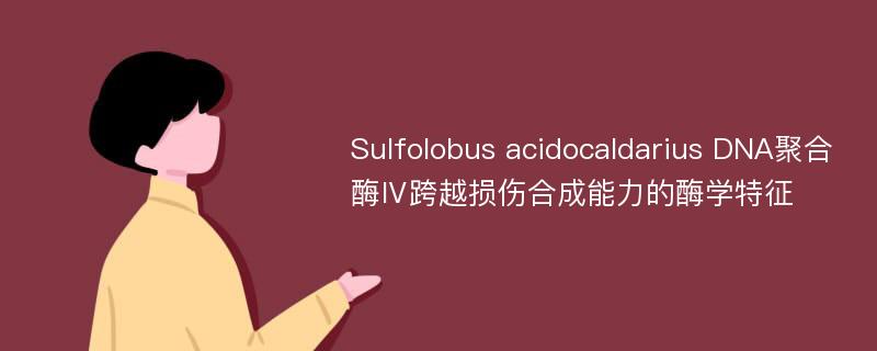 Sulfolobus acidocaldarius DNA聚合酶Ⅳ跨越损伤合成能力的酶学特征