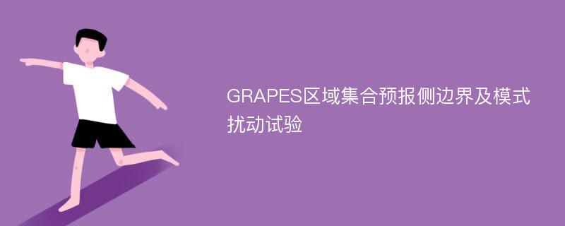 GRAPES区域集合预报侧边界及模式扰动试验