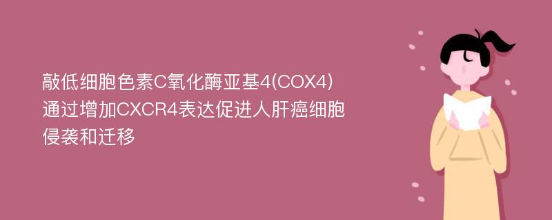 敲低细胞色素C氧化酶亚基4(COX4)通过增加CXCR4表达促进人肝癌细胞侵袭和迁移