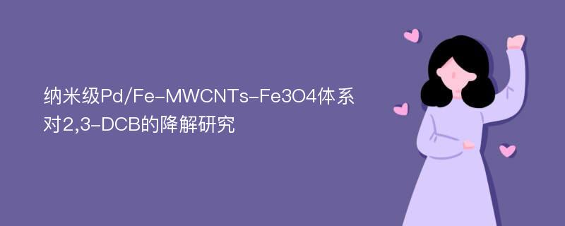 纳米级Pd/Fe-MWCNTs-Fe3O4体系对2,3-DCB的降解研究