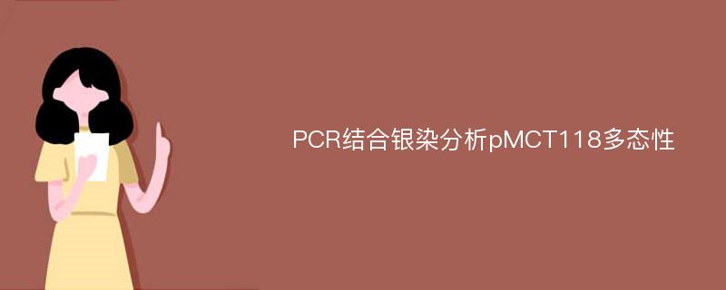 PCR结合银染分析pMCT118多态性