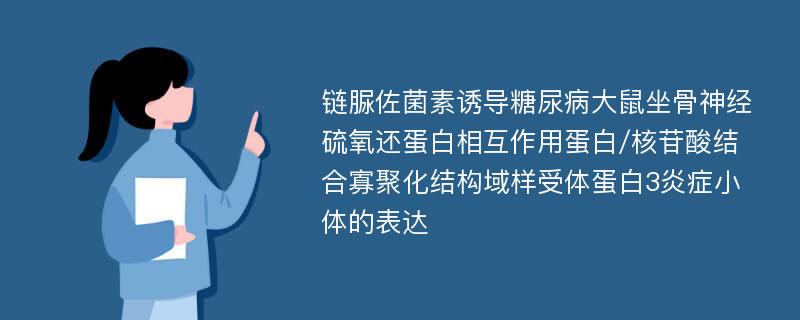 链脲佐菌素诱导糖尿病大鼠坐骨神经硫氧还蛋白相互作用蛋白/核苷酸结合寡聚化结构域样受体蛋白3炎症小体的表达