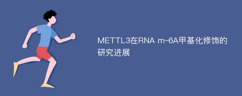 METTL3在RNA m~6A甲基化修饰的研究进展