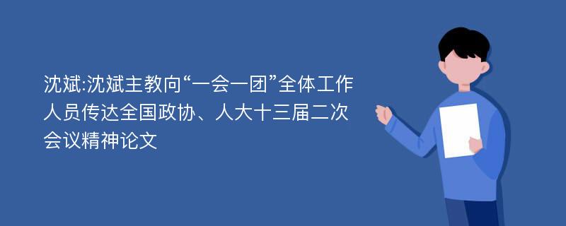 沈斌:沈斌主教向“一会一团”全体工作人员传达全国政协、人大十三届二次会议精神论文