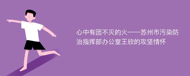 心中有团不灭的火——苏州市污染防治指挥部办公室王欣的攻坚情怀