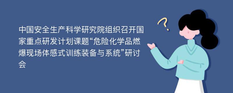 中国安全生产科学研究院组织召开国家重点研发计划课题“危险化学品燃爆现场体感式训练装备与系统”研讨会