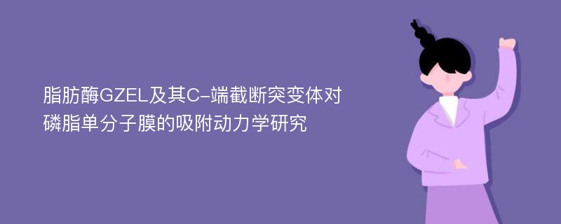 脂肪酶GZEL及其C-端截断突变体对磷脂单分子膜的吸附动力学研究