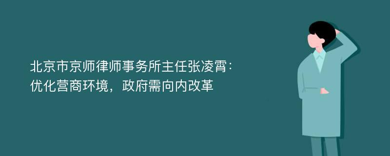 北京市京师律师事务所主任张凌霄：优化营商环境，政府需向内改革