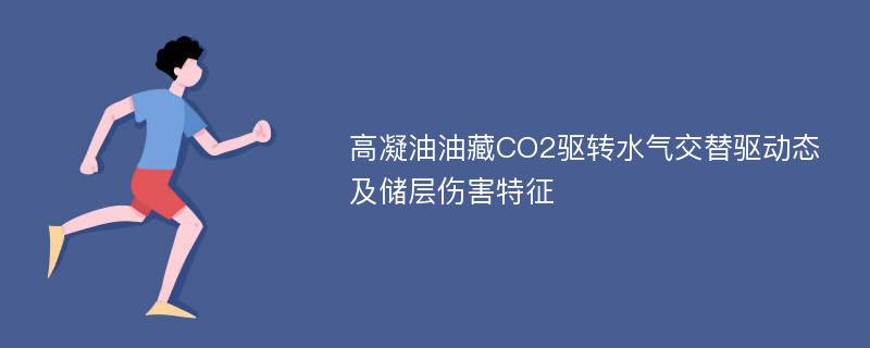 高凝油油藏CO2驱转水气交替驱动态及储层伤害特征