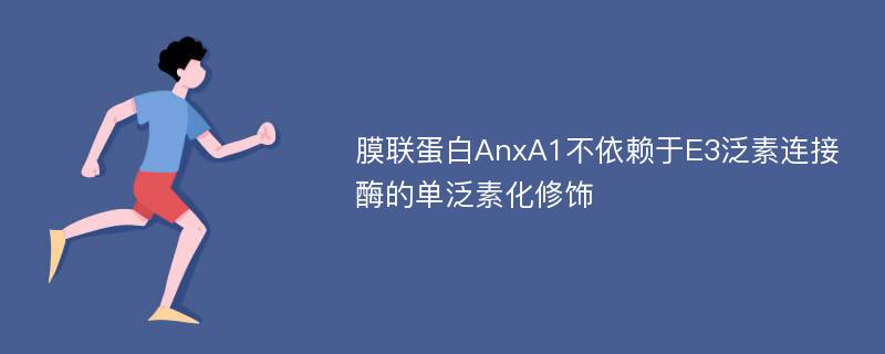 膜联蛋白AnxA1不依赖于E3泛素连接酶的单泛素化修饰