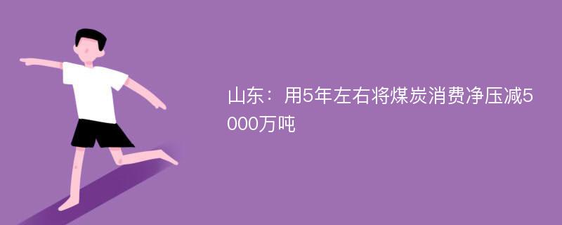 山东：用5年左右将煤炭消费净压减5000万吨