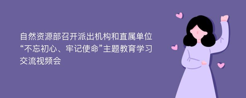 自然资源部召开派出机构和直属单位“不忘初心、牢记使命”主题教育学习交流视频会