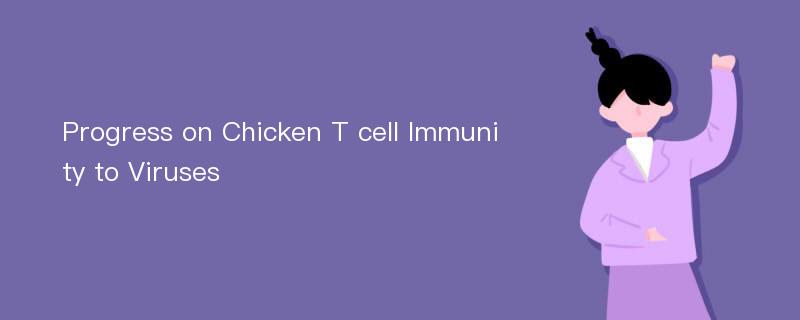 Progress on Chicken T cell Immunity to Viruses