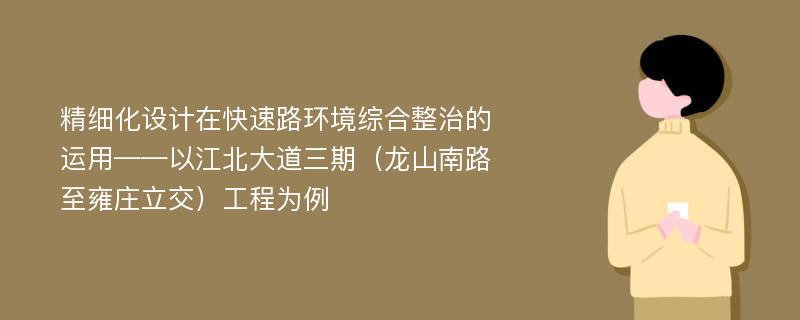 精细化设计在快速路环境综合整治的运用——以江北大道三期（龙山南路至雍庄立交）工程为例