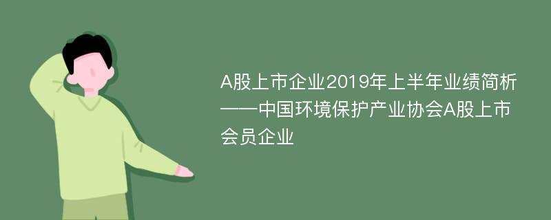 A股上市企业2019年上半年业绩简析——中国环境保护产业协会A股上市会员企业