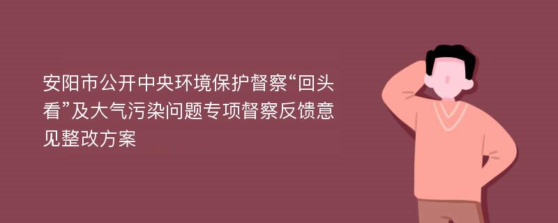 安阳市公开中央环境保护督察“回头看”及大气污染问题专项督察反馈意见整改方案