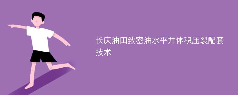 长庆油田致密油水平井体积压裂配套技术