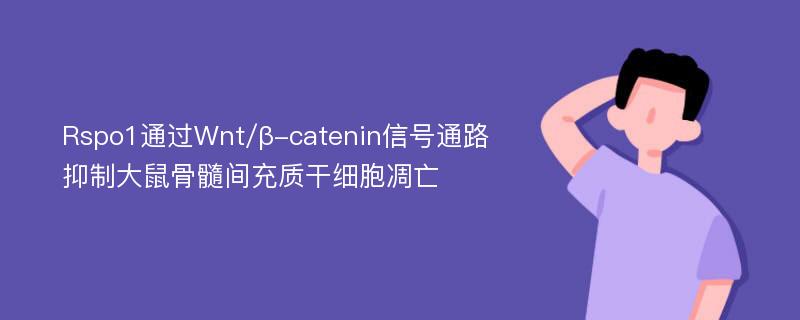 Rspo1通过Wnt/β-catenin信号通路抑制大鼠骨髓间充质干细胞凋亡