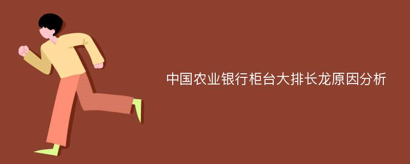 中国农业银行柜台大排长龙原因分析