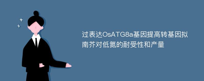 过表达OsATG8a基因提高转基因拟南芥对低氮的耐受性和产量