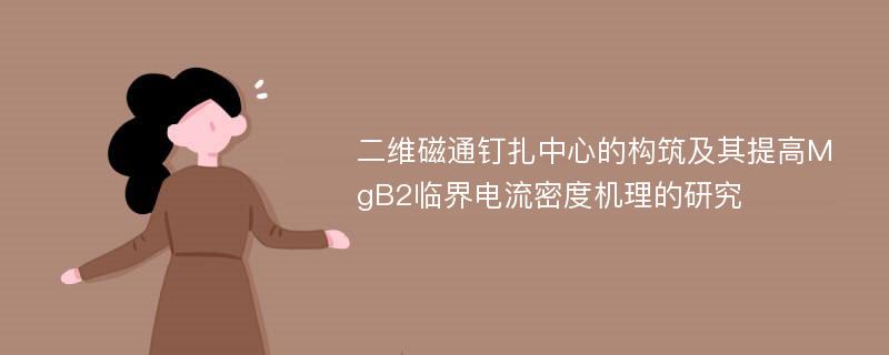 二维磁通钉扎中心的构筑及其提高MgB2临界电流密度机理的研究