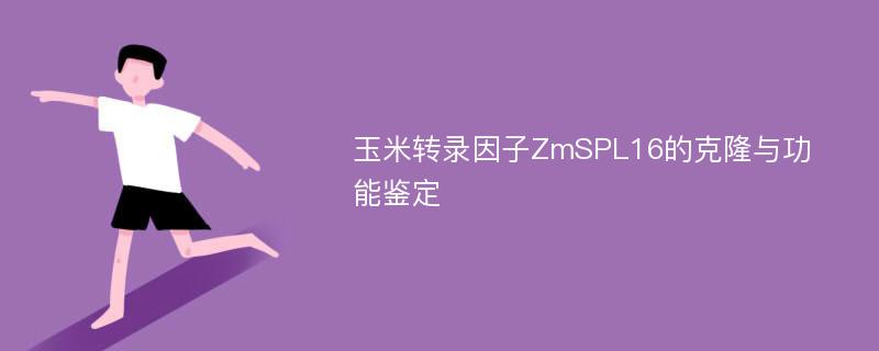 玉米转录因子ZmSPL16的克隆与功能鉴定