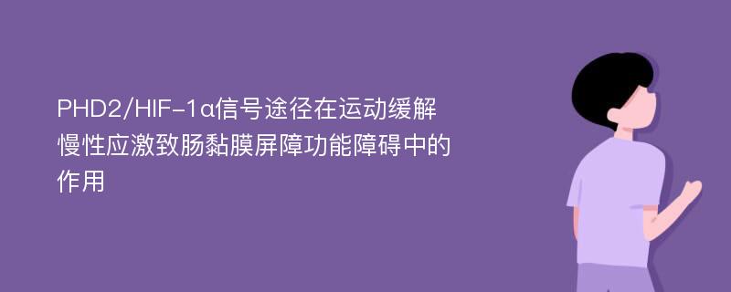 PHD2/HIF-1α信号途径在运动缓解慢性应激致肠黏膜屏障功能障碍中的作用